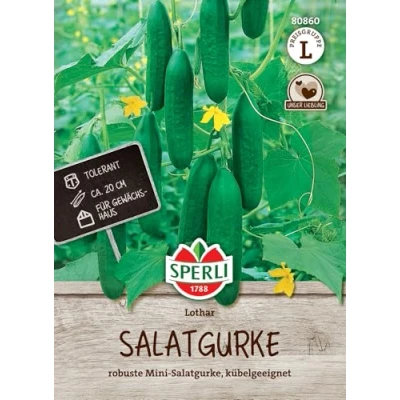 Abbildung von Sperli Salatgurkensamen Lothar, F1 80860 Robuste Mini Salatgurke Kübelgeeignet Inhalt für 7 Pflanzen Gemüsesamen, Samen Gemüse, Saatgut