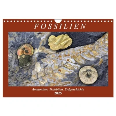 Abbildung von Fossilien Ammoniten, Trilobiten, Erdgeschichte (Wandkalender 2025 DIN A4 quer), CALVENDO Monatskalender