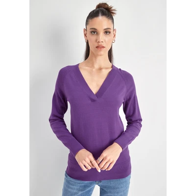 Abbildung von HECHTER PARIS Strickpullover, mit V Ausschnitt