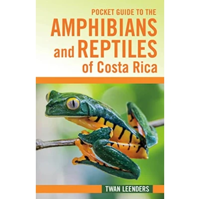 Abbildung von Pocket Guide to the Amphibians and Reptiles of Costa Rica (Zona Tropical Publications / Hellbender)