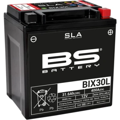 Abbildung von BS Battery 300631 BIX30L AGM SLA Motorrad Batterie, Schwarz