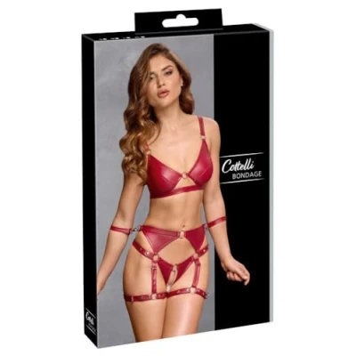 Abbildung von BH Set in Bondage Optik