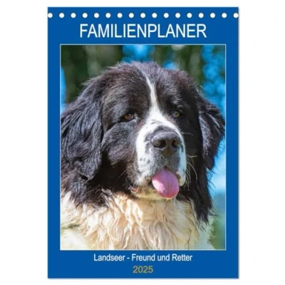 Abbildung von Familienplaner Landseer Freund und Retter (Tischkalender 2025 DIN A5 hoch), CALVENDO Monatskalender: diese faszinierenden Hunde ... Sigrid Starick in 13 bezaubernden Bildern.