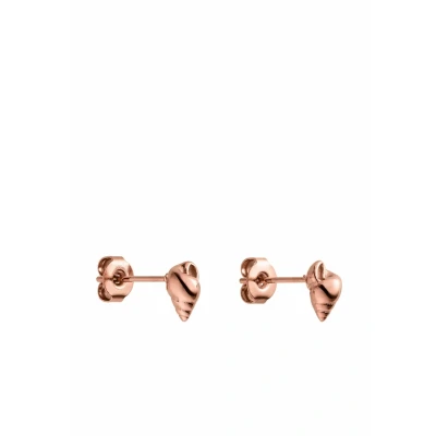 Abbildung von Purelei® Oceanside Ohrstecker Kleine Muschel Ohrringe aus Edelstahl in Gold, Silber oder Roségold Minimalistischer Damen Schmuck mit maritimen Aloha Vibes 4 x 6,8 mm, 0,8 g (Rosegold)