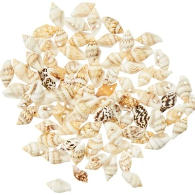 Abbildung von Baker Ross EF610 Natürliche Mini Muscheln, für Kinder zum Basteln, 200 Stück