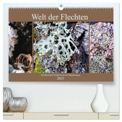 Abbildung von Welt der Flechten (hochwertiger Premium Wandkalender 2025 DIN A2 quer), Kunstdruck in Hochglanz