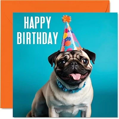 Abbildung von Geburtstagskarten für Männer und Frauen Party Mops Happy Birthday Karte Mutter, Vater, Schwester, Bruder, Tochter, Onkel, Tante, Oma, Großvater, Kollegen, bester Freund, 145 mm x