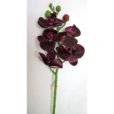 Abbildung von schenken und wohnen 1 Kunst Orchidee Phalaenopsis dunkellila ca.46 cm