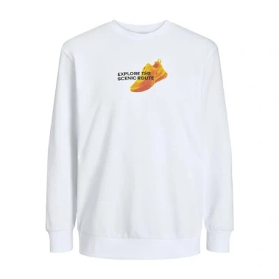 Abbildung von JACK&amp;JONES JCOEDITION Sweat Crew Neck GC