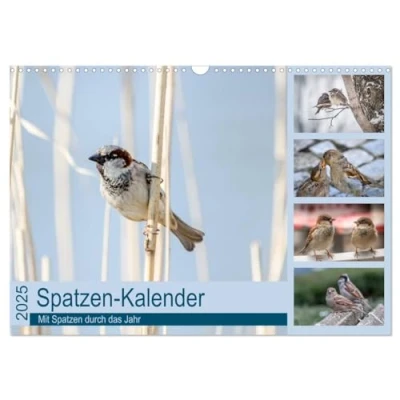 Abbildung von Spatzen Kalender (Wandkalender 2025 DIN A3 quer), CALVENDO Monatskalender