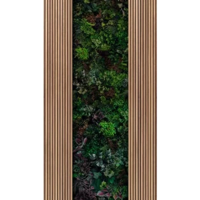 Abbildung von living walls Fototapete, matt, Vliestapete Pflanzen für Schlafzimmer Küche Wohnzimmer Wandpaneele