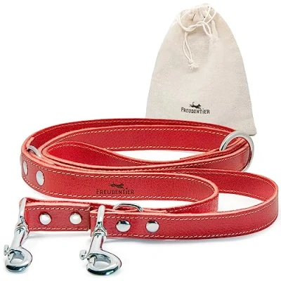 Abbildung von FREUDENTIER Hundeleine Leder in Spicy Red, verstellbare Führleine, robust &amp; stilvoll, Amstelpark Kollektion Made Holland (Rot, 20mm Breite)