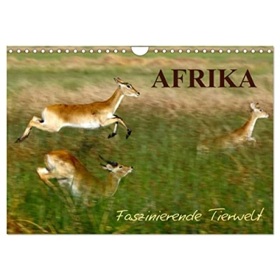 Abbildung von Afrika Faszinierende Tierwelt (Wandkalender 2025 DIN A4 quer), CALVENDO Monatskalender