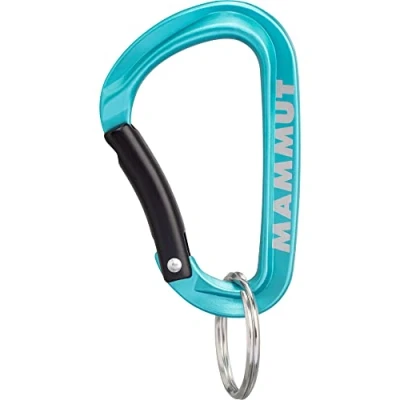 Abbildung von Mammut Mini Carabiner Classic keylock S Blue