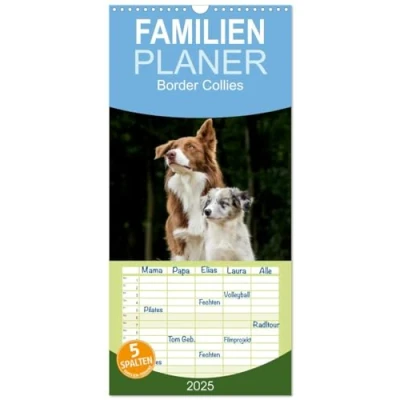Abbildung von Familienplaner 2025 Border Collies mit 5 Spalten (Wandkalender, 21 cm x 45 cm), CALVENDO