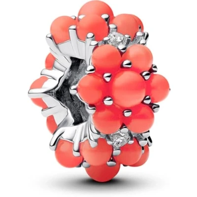 Abbildung von Pandora Damen Charm Silber/Rot 793897C01