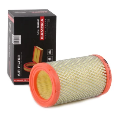 Abbildung von Luftfilter KAMOKA F204001