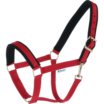 Abbildung von Bucas Halfter Comfort Rot/ Schwarz XWarmblut