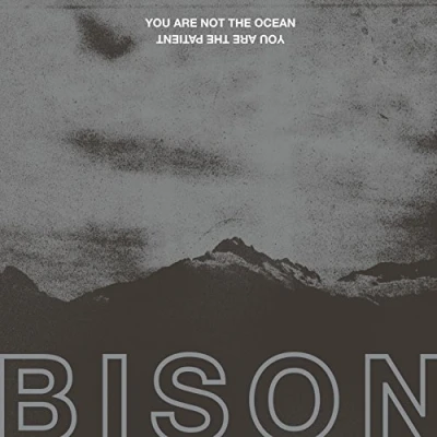 Abbildung von You Are Not the Ocean Patient