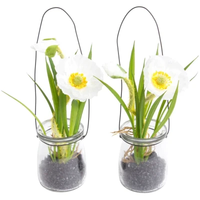 Abbildung von Botanic Haus Kunstblume &quot;Mohnblume im Glas&quot;