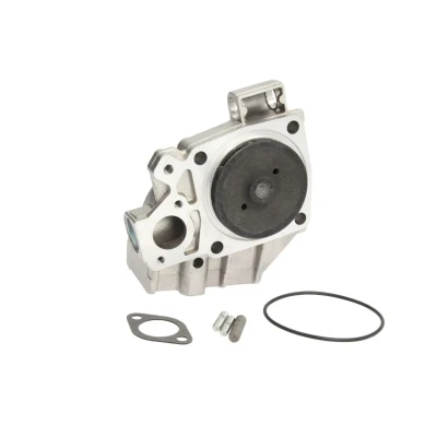 Abbildung von HEPU P119 Wasserpumpe mit Dichtung Flansch mechanisch FIAT: Ducato I Pritsche/Fahrgestell, Kastenwagen, Panorama