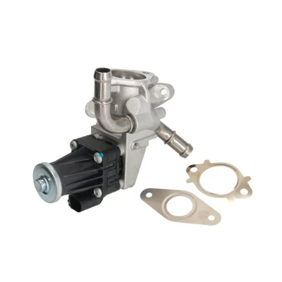Abbildung von MAGNETI MARELLI 571822112063 AGR Ventil FORD: Transit Mk6 Kastenwagen, Pritsche/Fahrgestell, Bus
