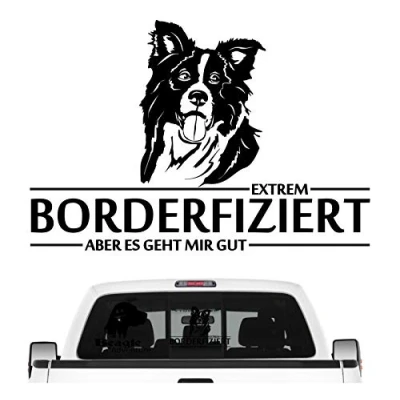 Abbildung von siviwonder Auto Aufkleber Border Collie Hund INFIZIERT Hundeaufkleber 30cm Black