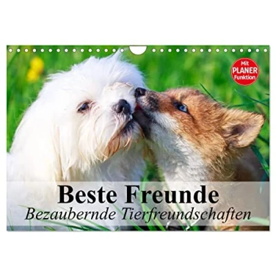 Abbildung von Beste Freunde. Bezaubernde Tierfreundschaften (Wandkalender 2025 DIN A4 quer), CALVENDO Monatskalender