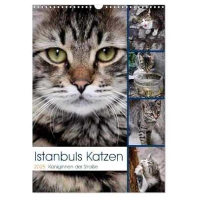 Abbildung von Istanbuls Katzen (Wandkalender 2025 DIN A3 hoch), CALVENDO Monatskalender