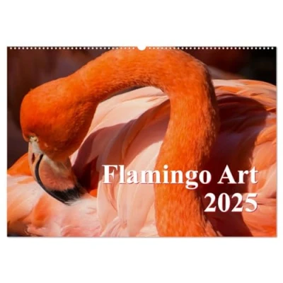 Abbildung von Flamingo Art 2025 (Wandkalender DIN A2 quer), CALVENDO Monatskalender