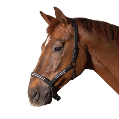 Abbildung von Harry&#039;s Horse Halfter Leder Flash SchwarzVerkauft von Agradi