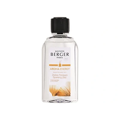Abbildung von MAISON BERGER Paris Aroma Energy Duftbouquet 6283 Nachfüllflasche