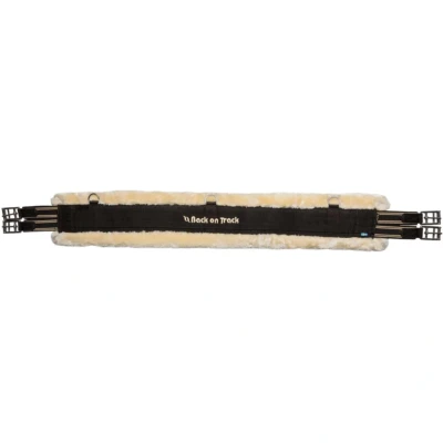 Abbildung von Back on Track Vielseitigkeitsgurt Dalby Schwarz 145cm