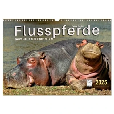 Abbildung von Flusspferde gemütlich gefährlich (Wandkalender 2025 DIN A3 quer), CALVENDO Monatskalender