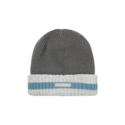 Abbildung von SEALSKINZ Holkham Beanie, wasserdichte Wintermütze für kaltes Wetter, gestreift, mit gerolltem Rand, hellgrau, Größe S/M