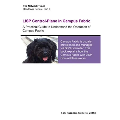 Abbildung von LISP Control Plane in Campus Fabric: A Practical Guide to Understand the Operation of Fabric