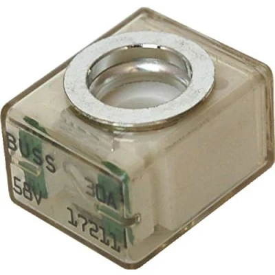 Abbildung von FUSIBLE TERM.BATERIA 30A
