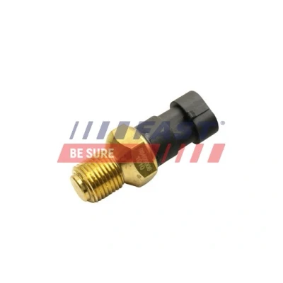 Abbildung von Sensor, Kühlmitteltemperatur FAST FT80106