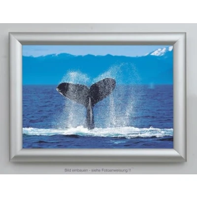 Abbildung von Showdown® Displays Klapprahmen 45,1 x 62,5 cm silber