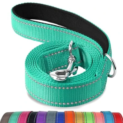 Abbildung von Joytale Hundeleine Kleine Hunde Leicht, Doppelseitig Reflektierende Leine Hund aus Nylon mit Gepolstertem Griff, 1,8m x 2cm, Türkis