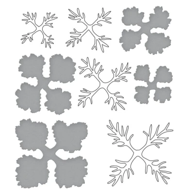 Abbildung von Spellbinders Ornamental Cabbage &amp; Kale Clear Stamp Die Set (SDS 187) (DISCONTINUED)