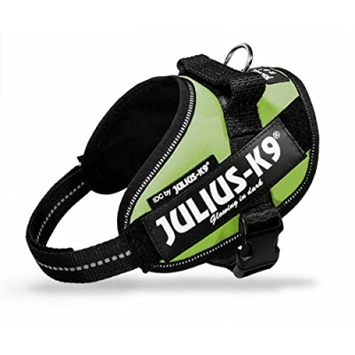 Abbildung von Julius K9 16IDC KW MM IDC Powergeschirr mit Logofeld, mini kiwi grün