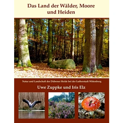 Abbildung von Das Land der Wälder, Heiden und Moore: Natur Landschaft Dübener Heide bei Lutherstadt Wittenberg