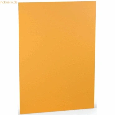 Abbildung von 10 x Paperado Karton A4 220g/qm VE=5 Blatt Ocker