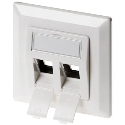 Abbildung von DeLock Keystone Anschlussdose 2 Port