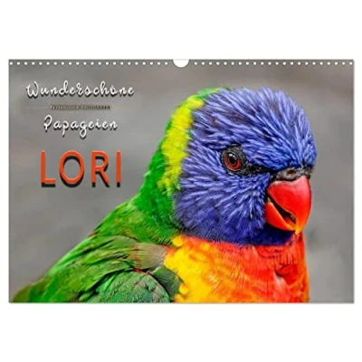 Abbildung von Wunderschöne Papageien Lori (Wandkalender 2025 DIN A3 quer), CALVENDO Monatskalender