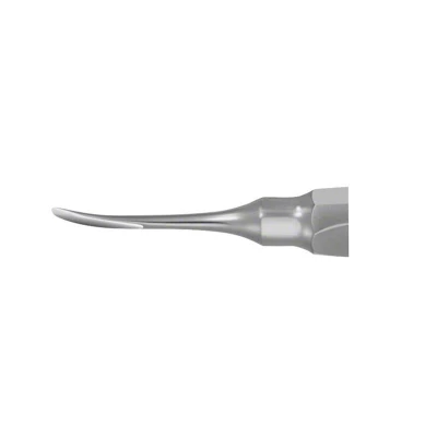 Abbildung von Wurzelheber gebogen Figur 2C 4,0mm breit Stück