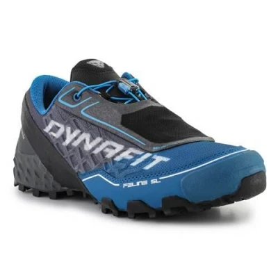 Abbildung von Schuh lauf herren Dynafit Feline Sl Gtx Carbon frost
