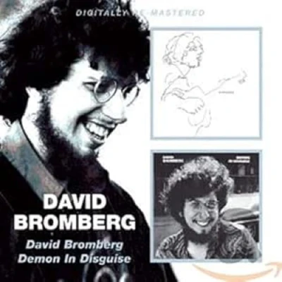 Abbildung von David Bromberg/Demon in Disguise