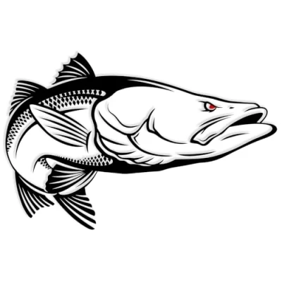 Abbildung von Finest Folia Fisch Aufkleber für Auto Motorrad Boot Schlauchboot Angelbox Sticker Autoaufkleber Angler Fische selbstklebend wetterfest wasserfest K174 (Schwarz Glanz, Motiv 01)